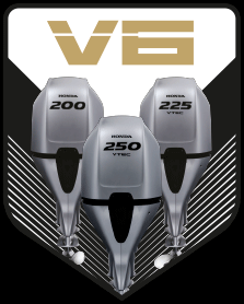 v6tag_bf200-250.png